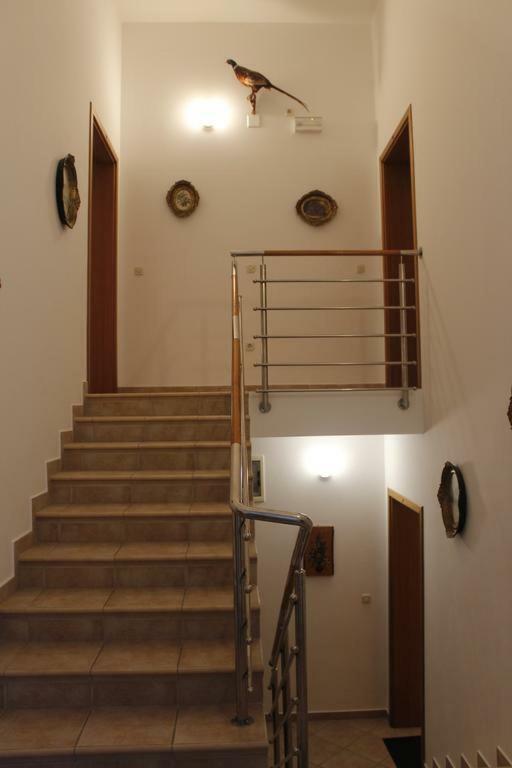 Apartmani Zeljko Metajna Luaran gambar